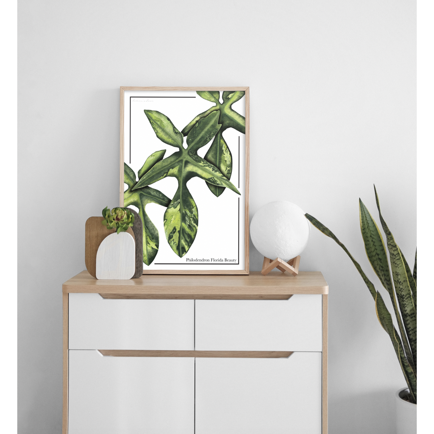 Philodendron Florida Beauty - Luxe Foliage