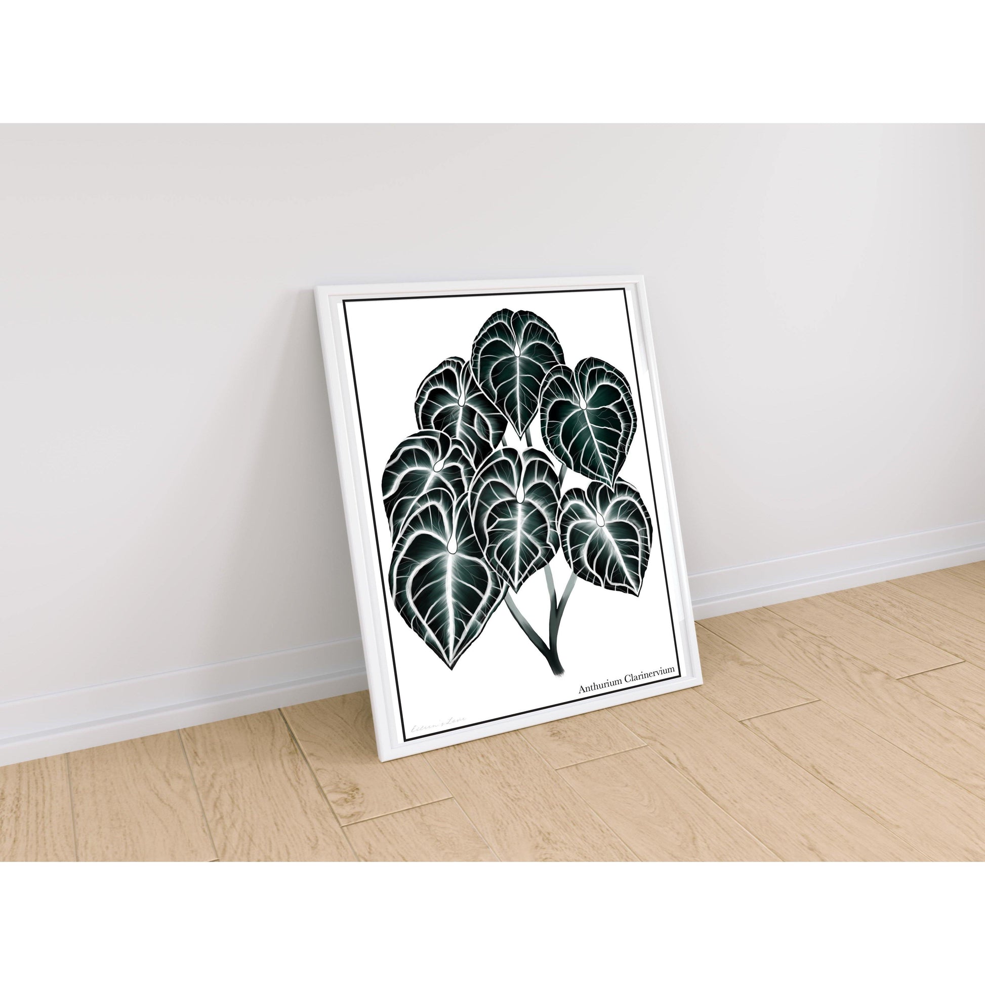 Anthurium Clarinervium artwork in white frame