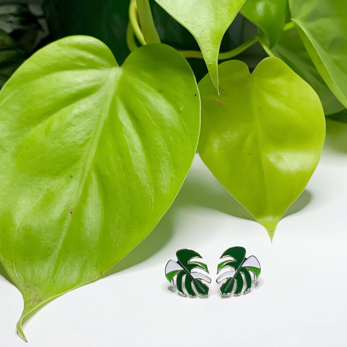 Variegated Monstera Earrings - Luxe Foliage