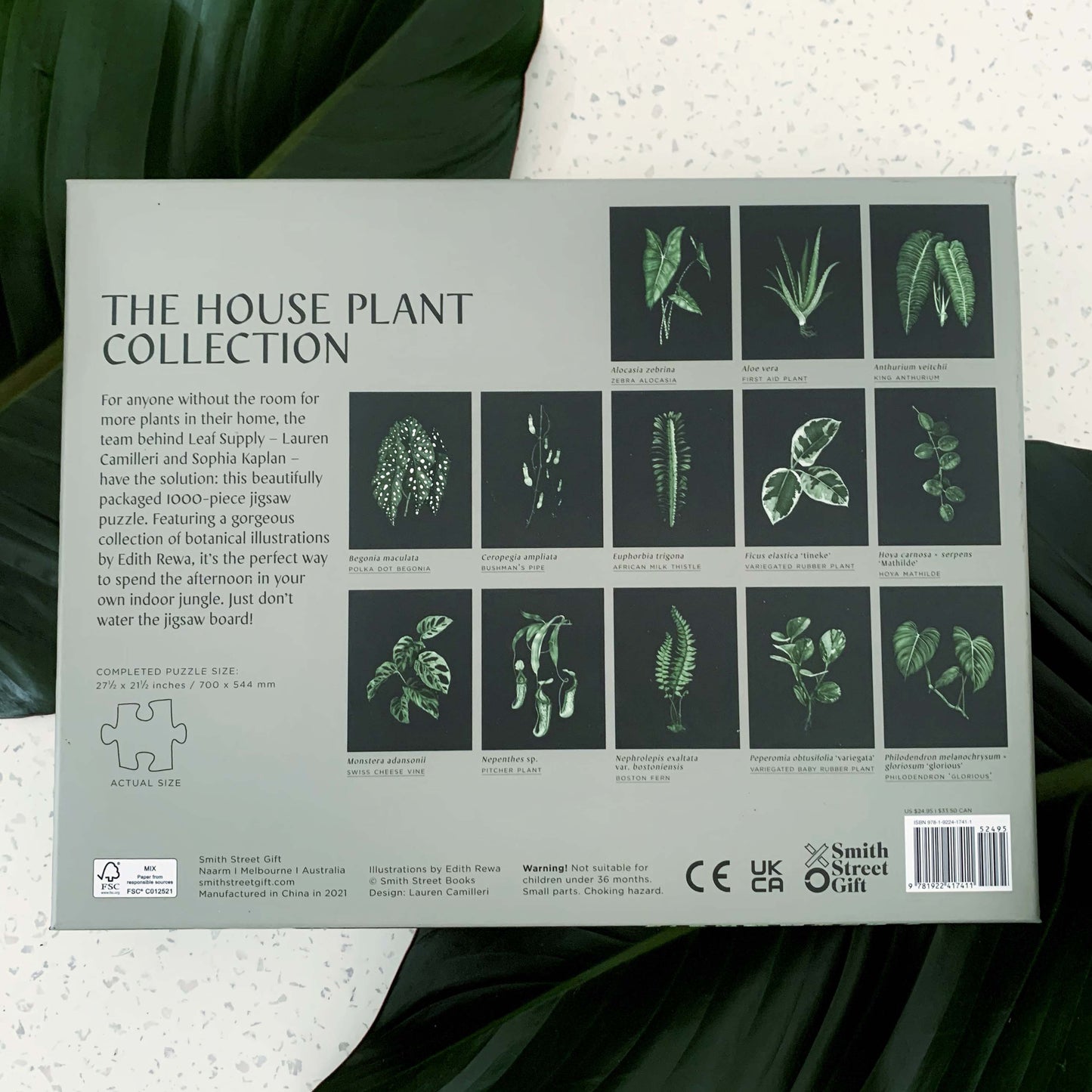 The Houseplant Collection Puzzle
