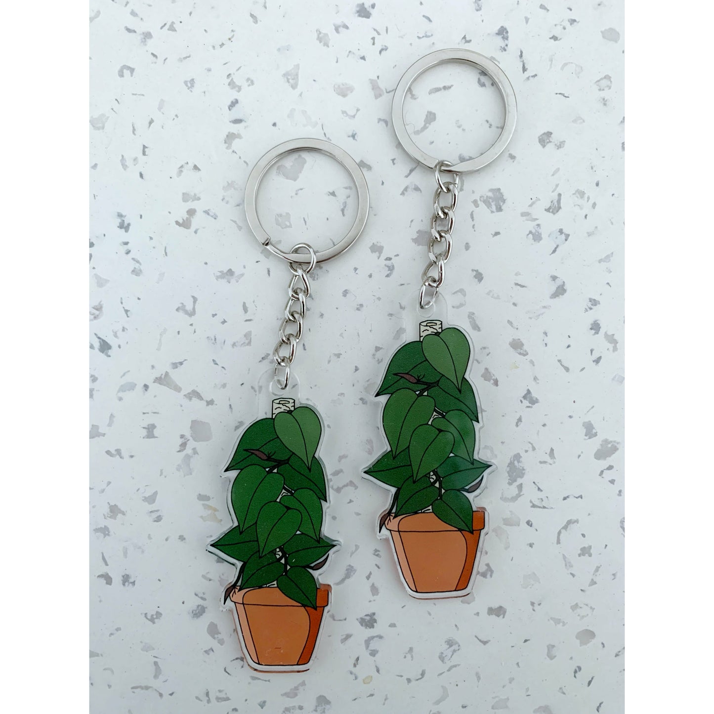 Heart Leaf Philodendron Acrylic Keyring