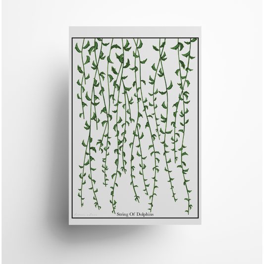 String Of Dolphins - Luxe Foliage