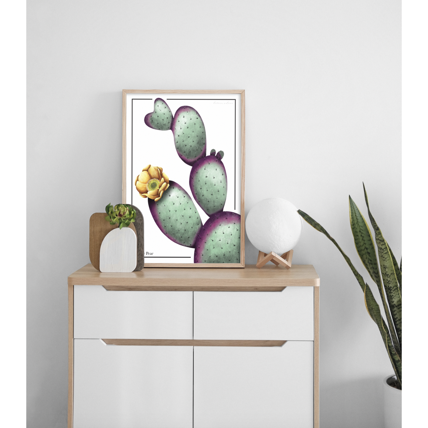Prickly Pear Cactus - Luxe Foliage