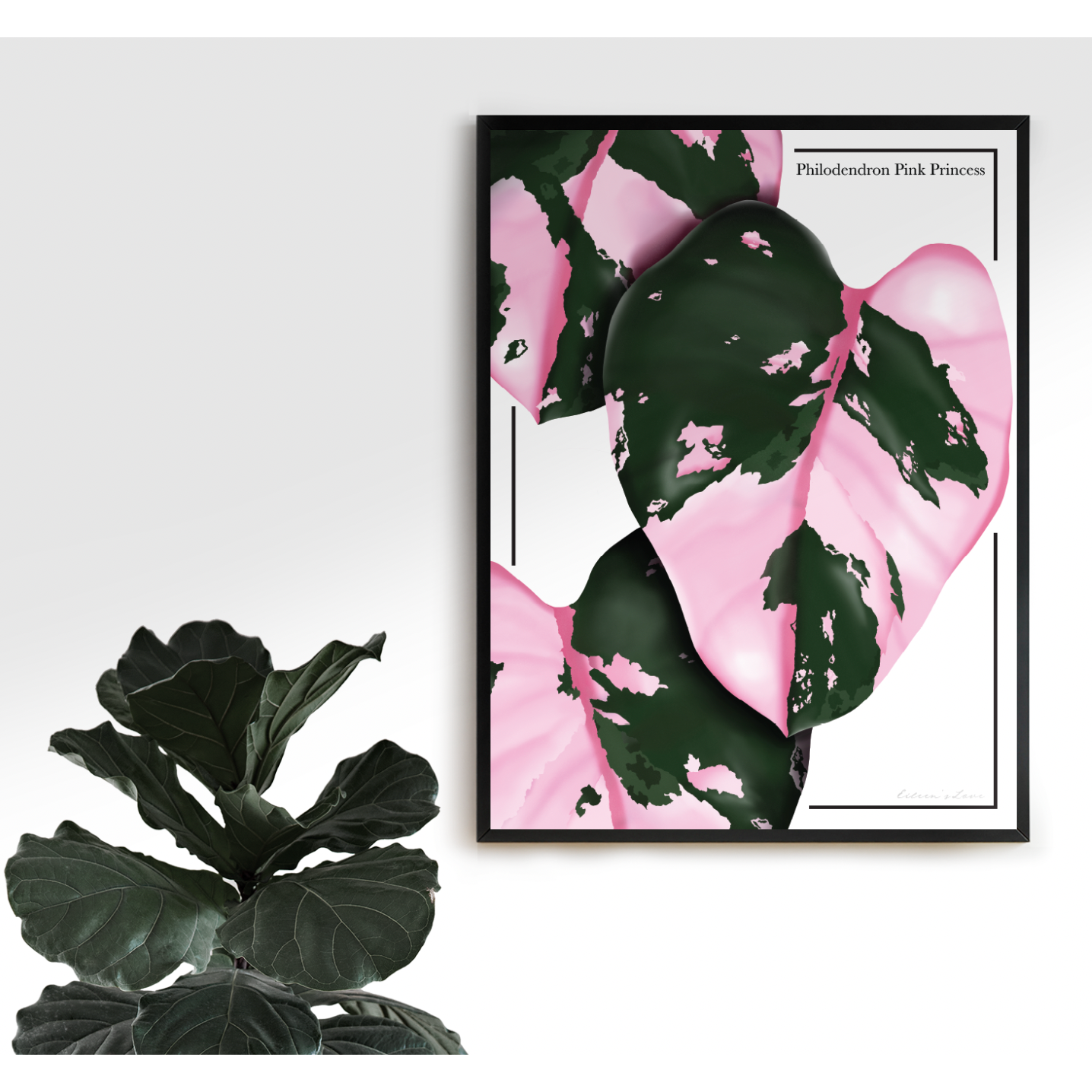 Philodendron Pink Princess - Luxe Foliage