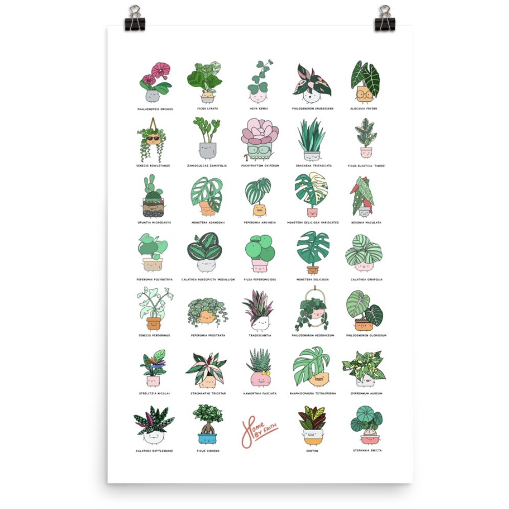 The Plant Alphabet Poster - Luxe Foliage