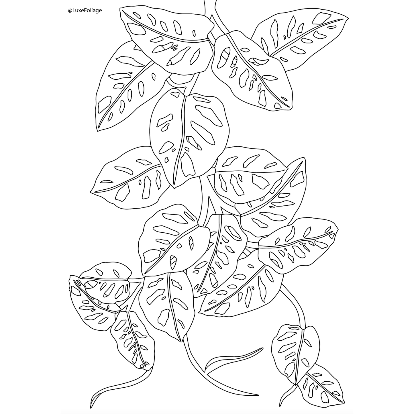 Free Colouring in Pages