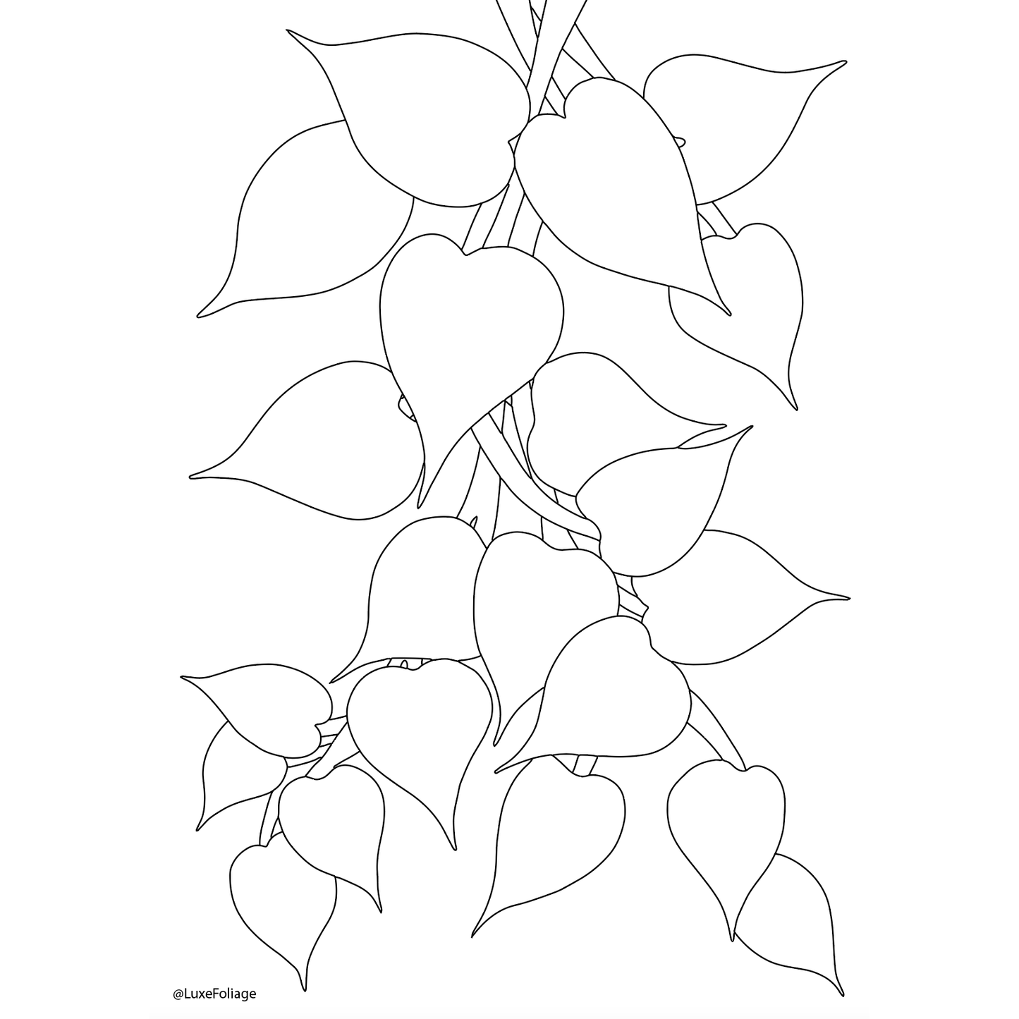 Free Colouring in Pages
